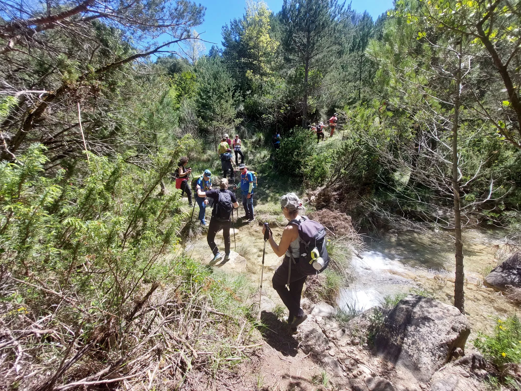  Javieres en Agüero y el Pico Puimaría