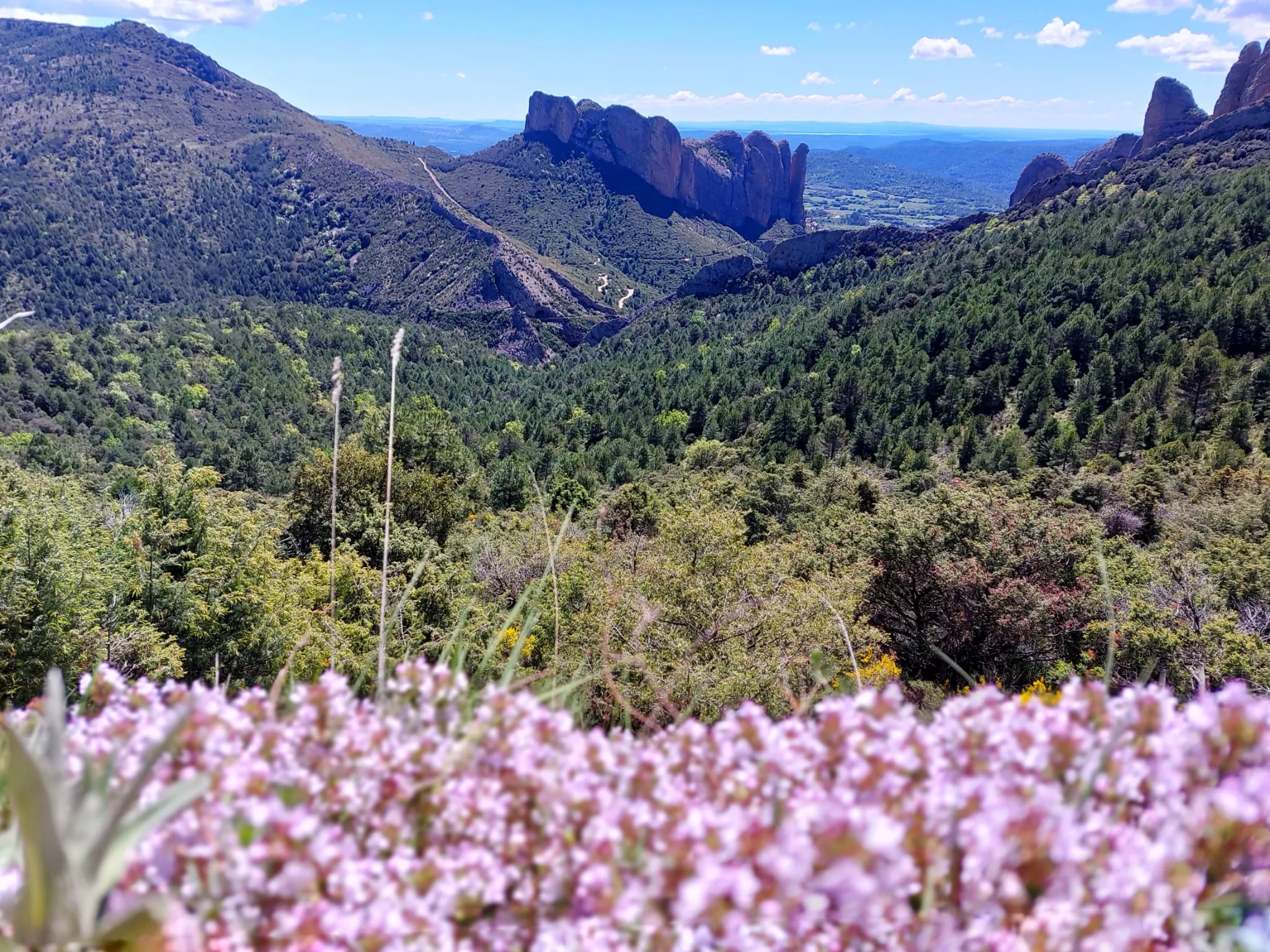  Javieres en Agüero y el Pico Puimaría