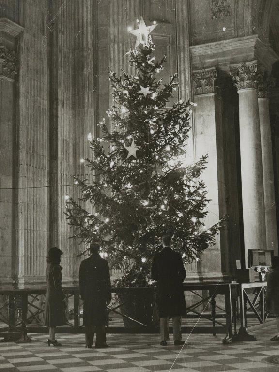 Primer árbol en el Vaticano