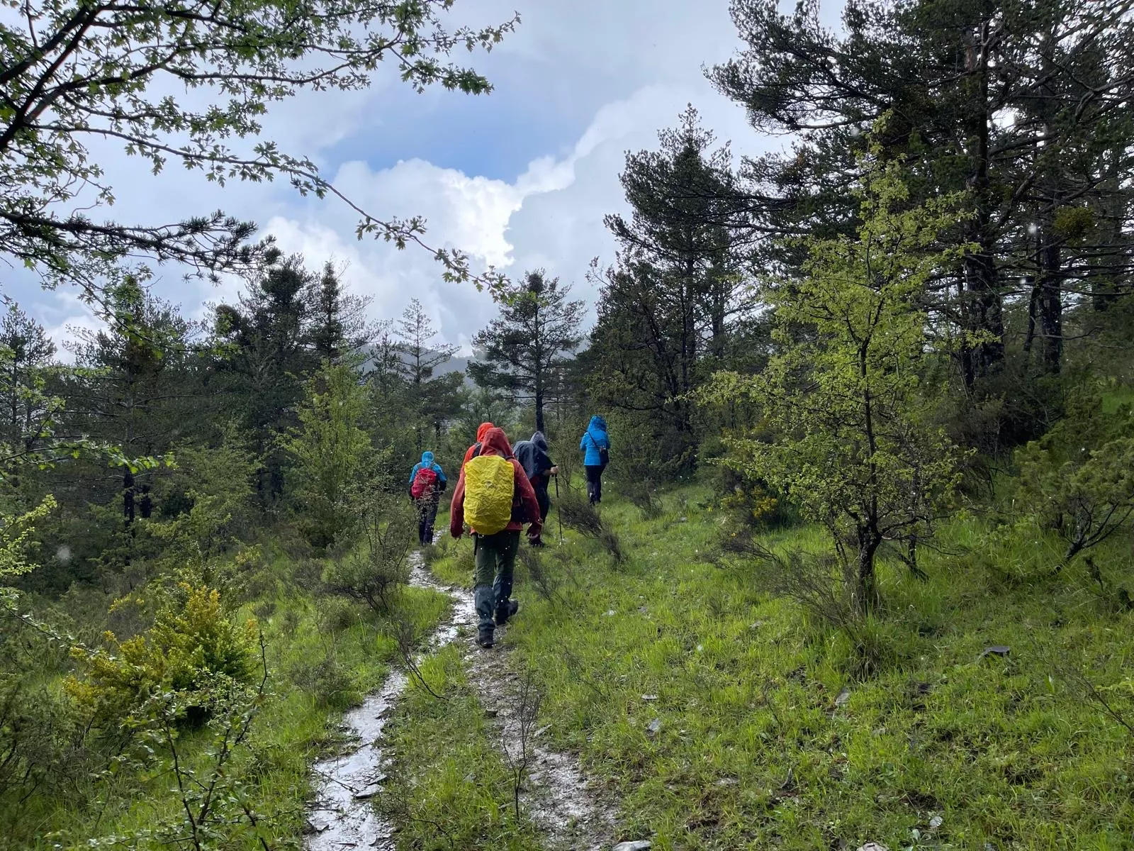 Rutas por la Provincia por la Jacetania.
