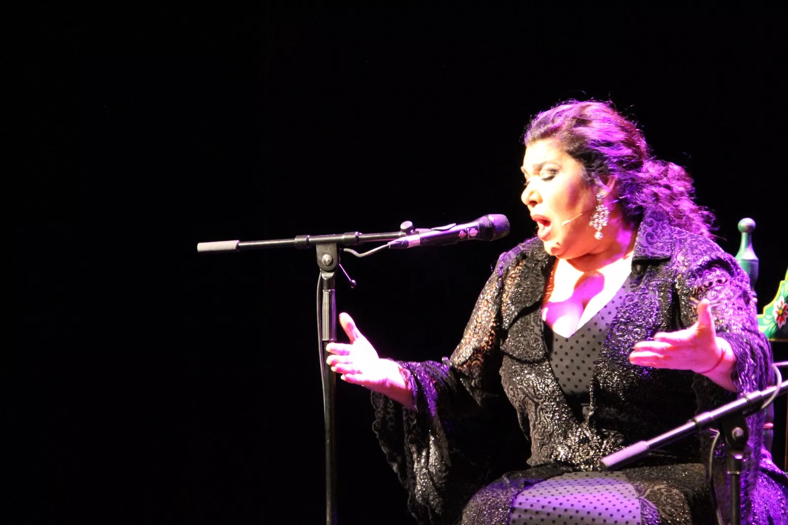 Actuación de Tomasa "La Macanita" en la Primavera Flamenca de Huesca. Foto Carlos Neofato