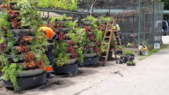 TORRES FLORALES PREPARADAS TORRES FLORALES PREPARADAS