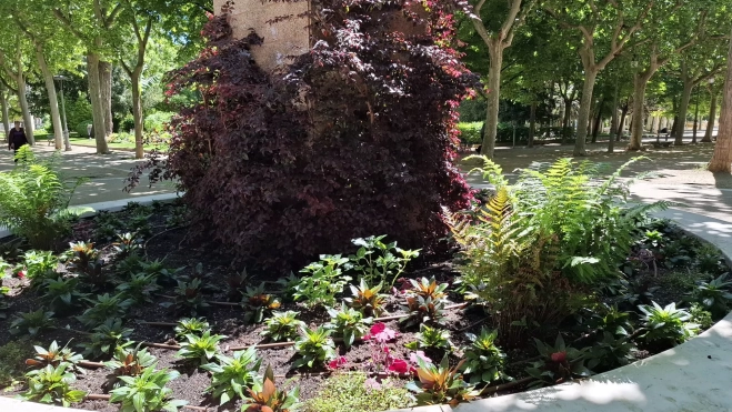 MONUMENTO CAÍDOS MONUMENTO CAÍDOS