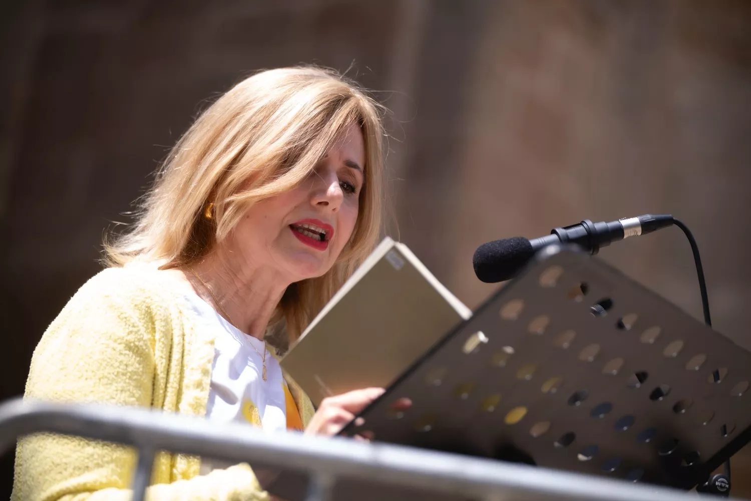 Tercera jornada de Barbitania en Barbastro