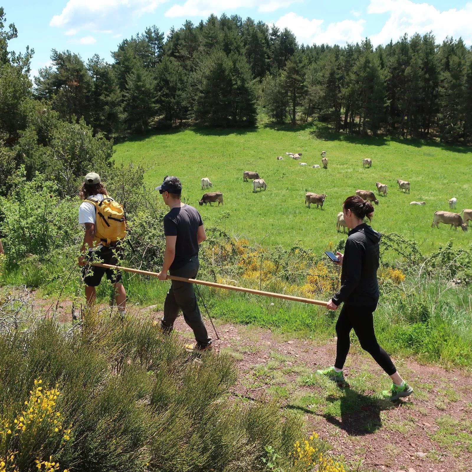  Jornada de Montaña Inclusiva en Laspaúles