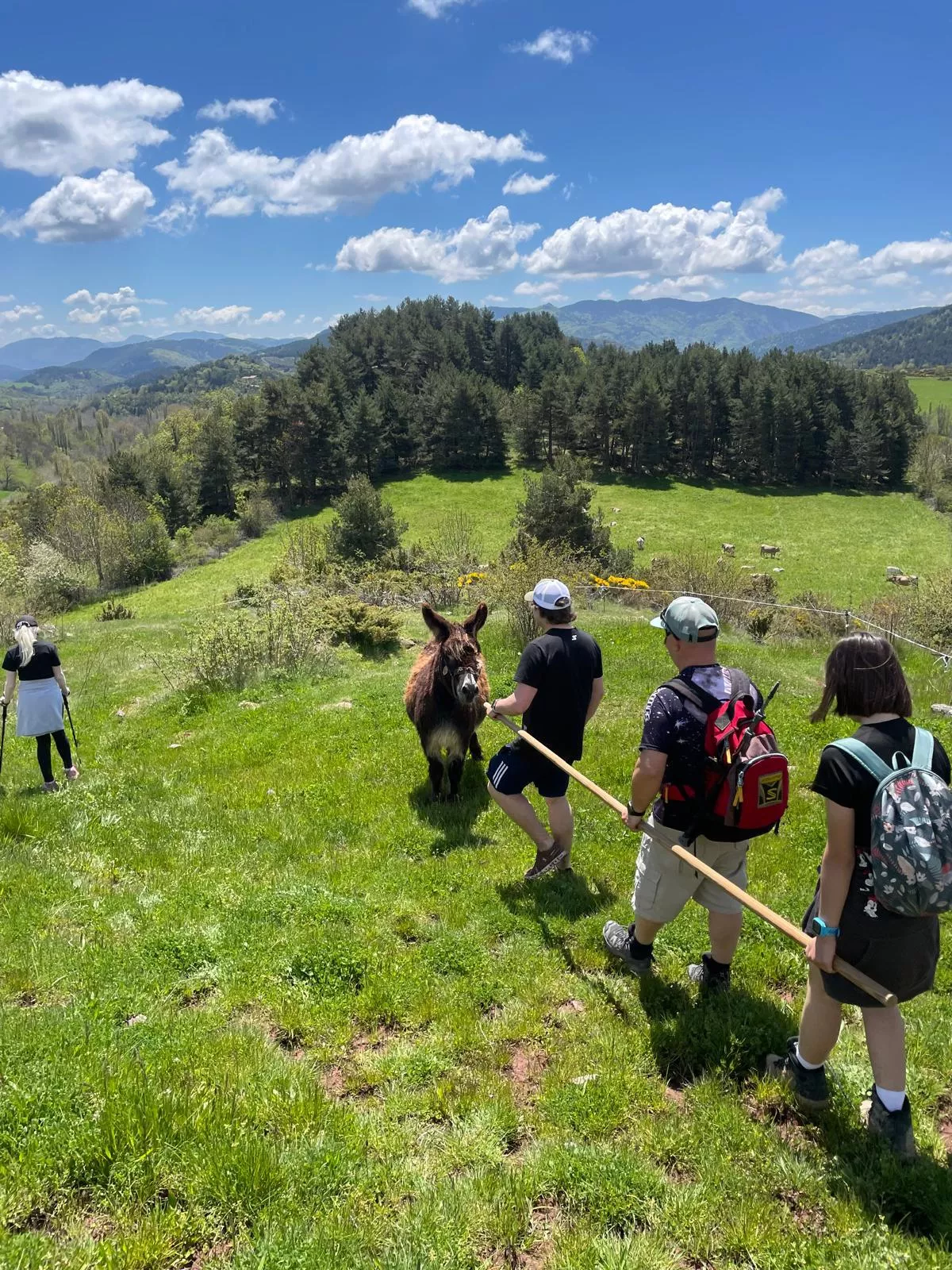  Jornada de Montaña Inclusiva en Laspaúles
