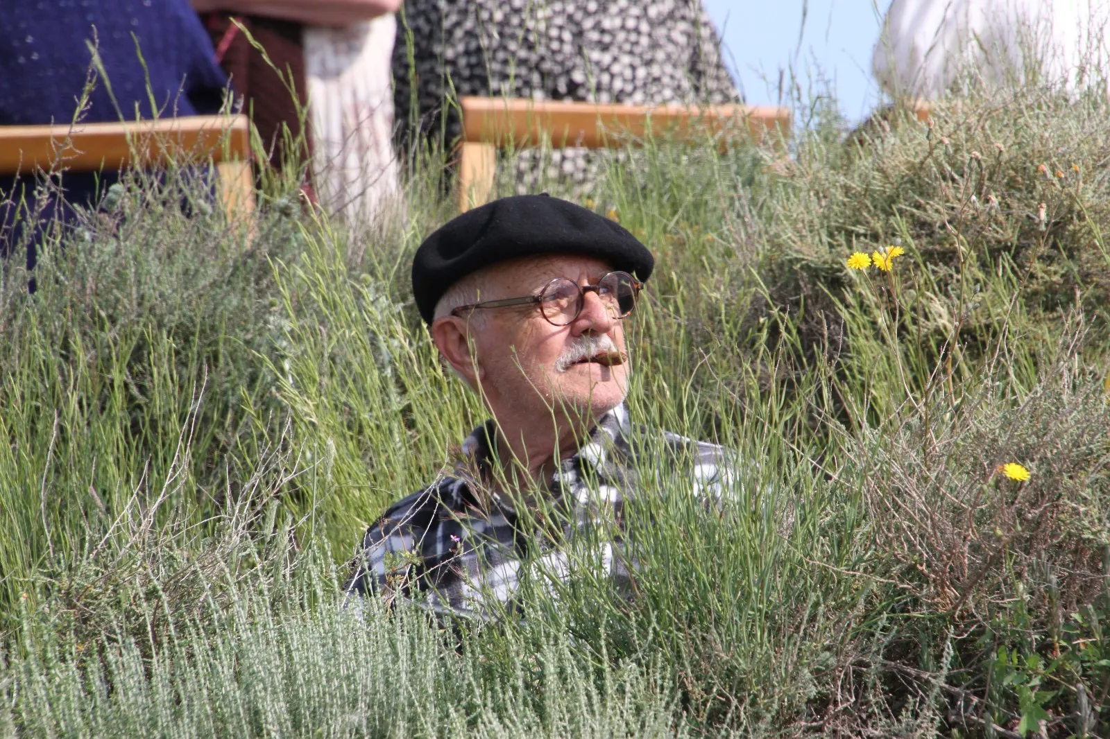 VII edición de la Trinchera Viviente en Alcubierre. Foto Carlos Neofato