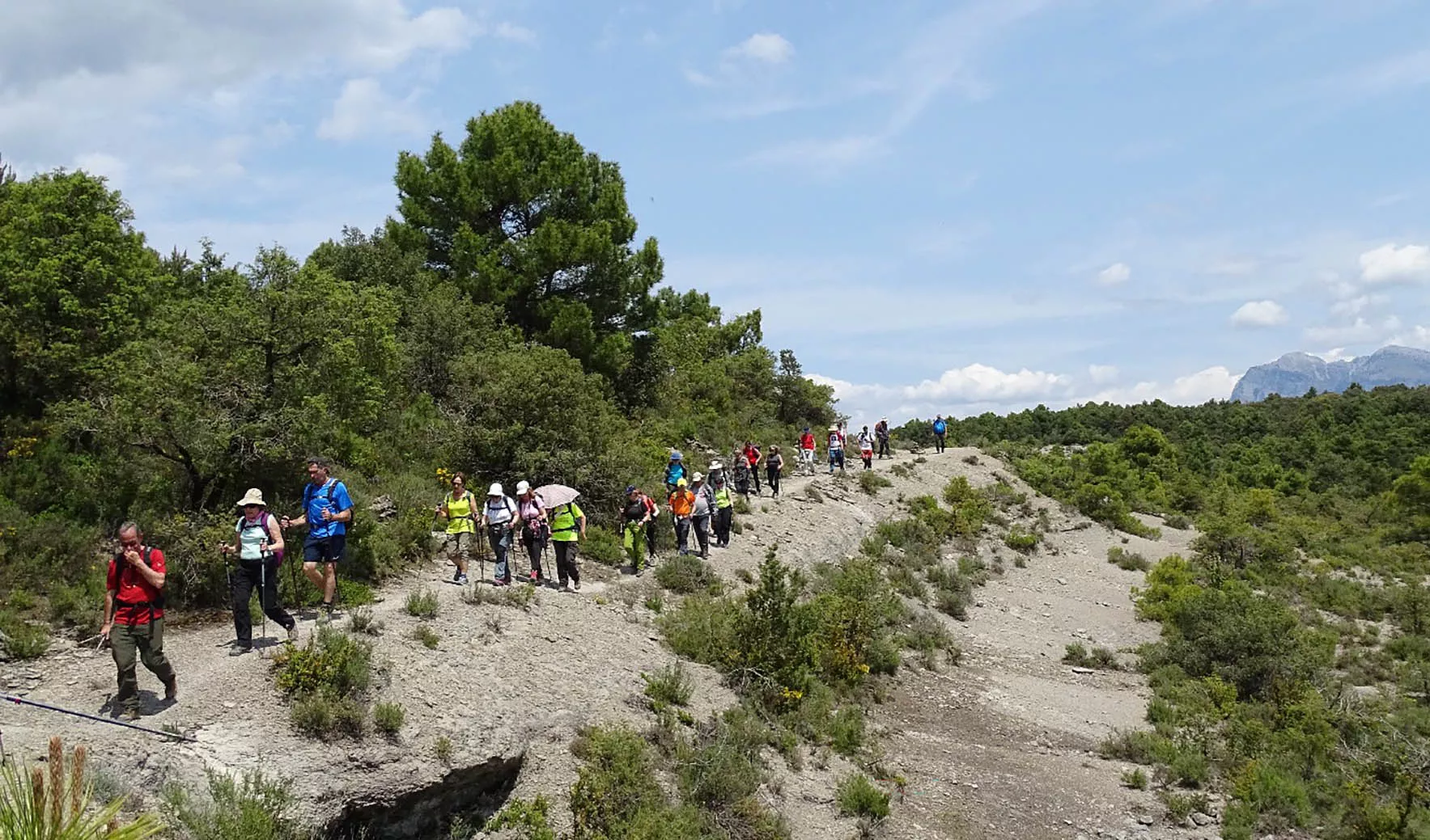 Hacia Camporrotuno. Alfredo Zazo