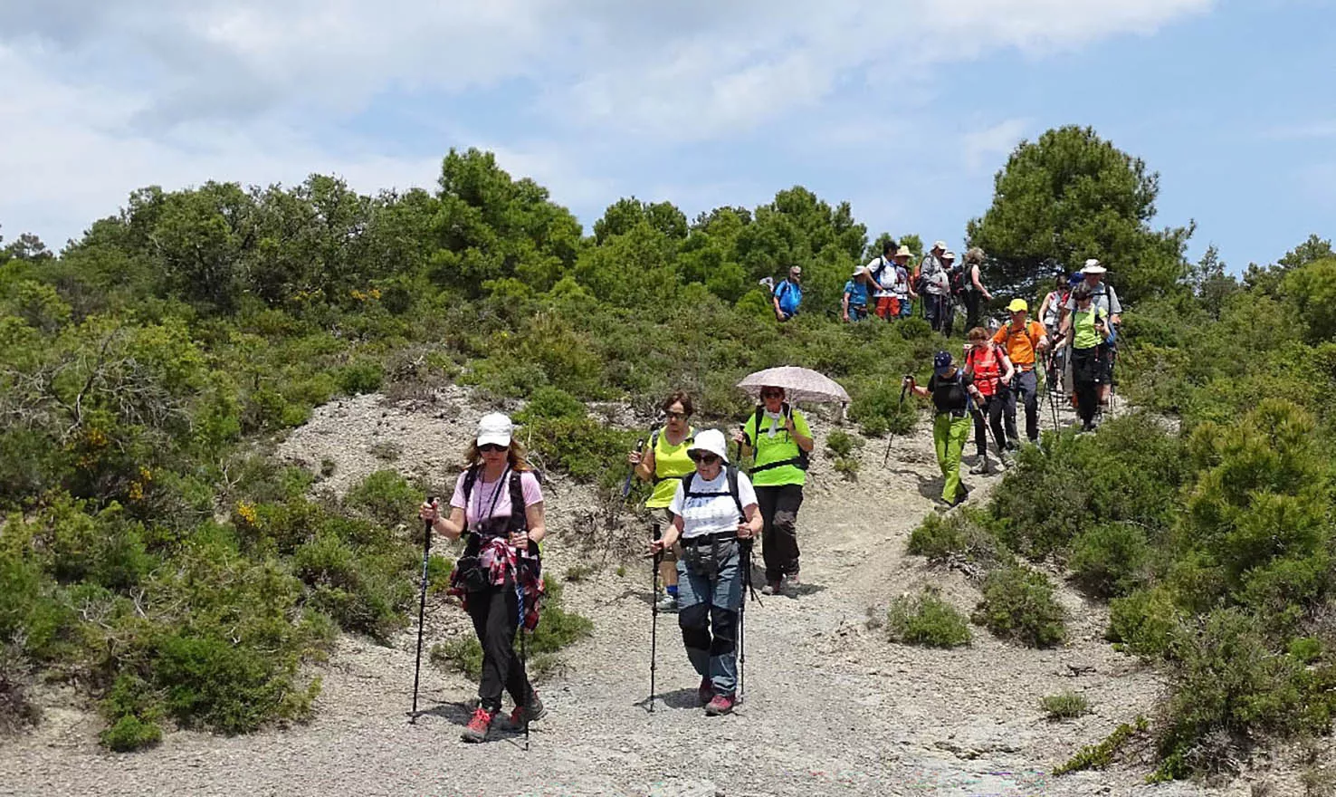 Hacia Camporrotuno. Alfredo Zazo