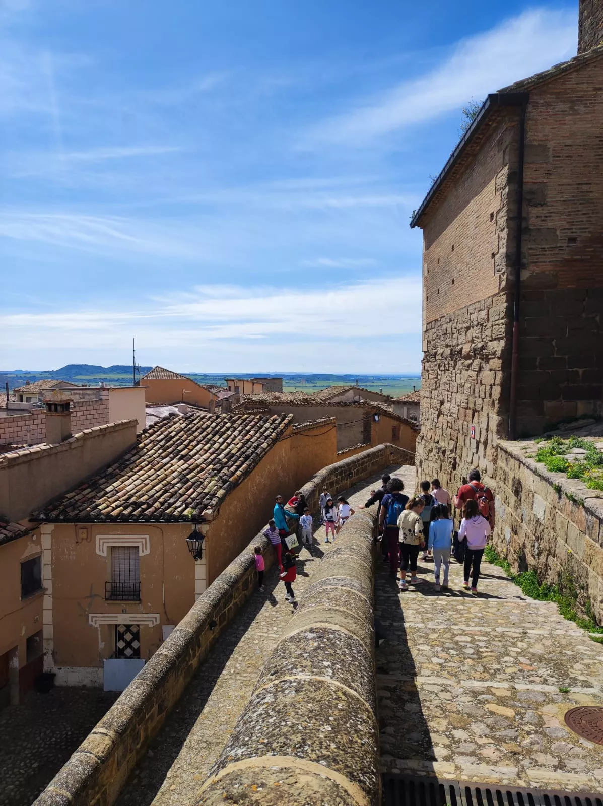 Actividad descubriendo las aves del alumnado de Bolea.