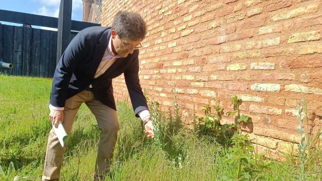 Alfonso Calvo tras ubicar la planta junto al muro del monasterio. Alfonso Calvo tras ubicar la planta junto al muro del monasterio.