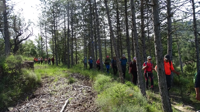 05 por Puybayeta (1) 05 por Puybayeta (1)