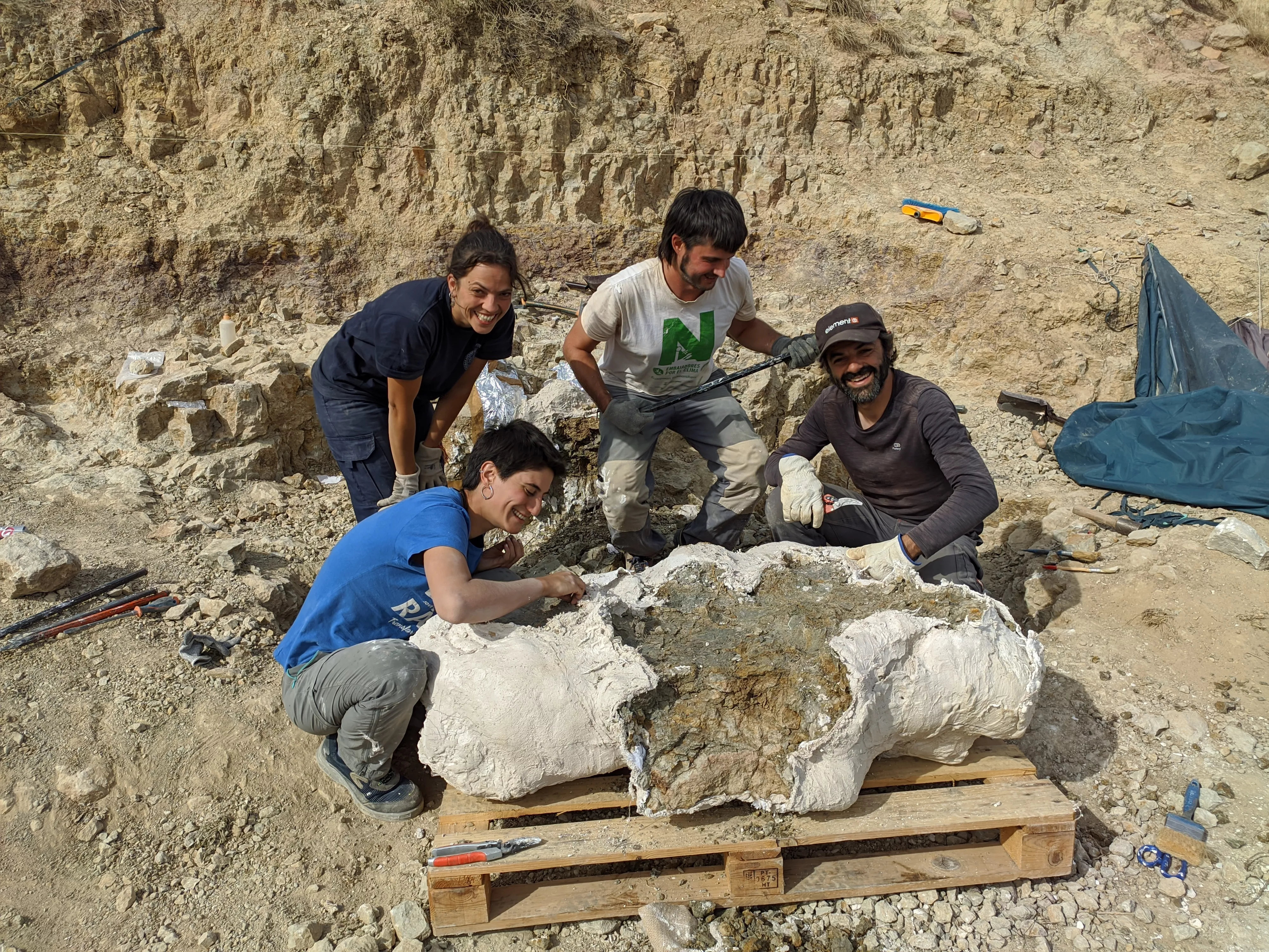 Extracción del gran bloque con huesos con el que se trabajará en el Laboratorio de Loarre. Extracción del gran bloque con huesos con el que se trabajará en el Laboratorio de Loarre.