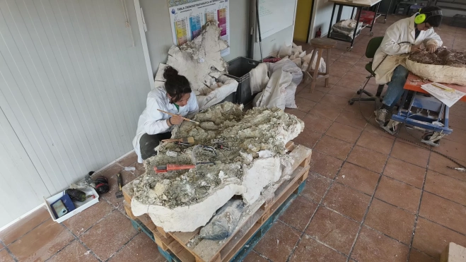 Jara Parrilla Bel durante las labores de restauración del bloque con huesos de dinosaurio.