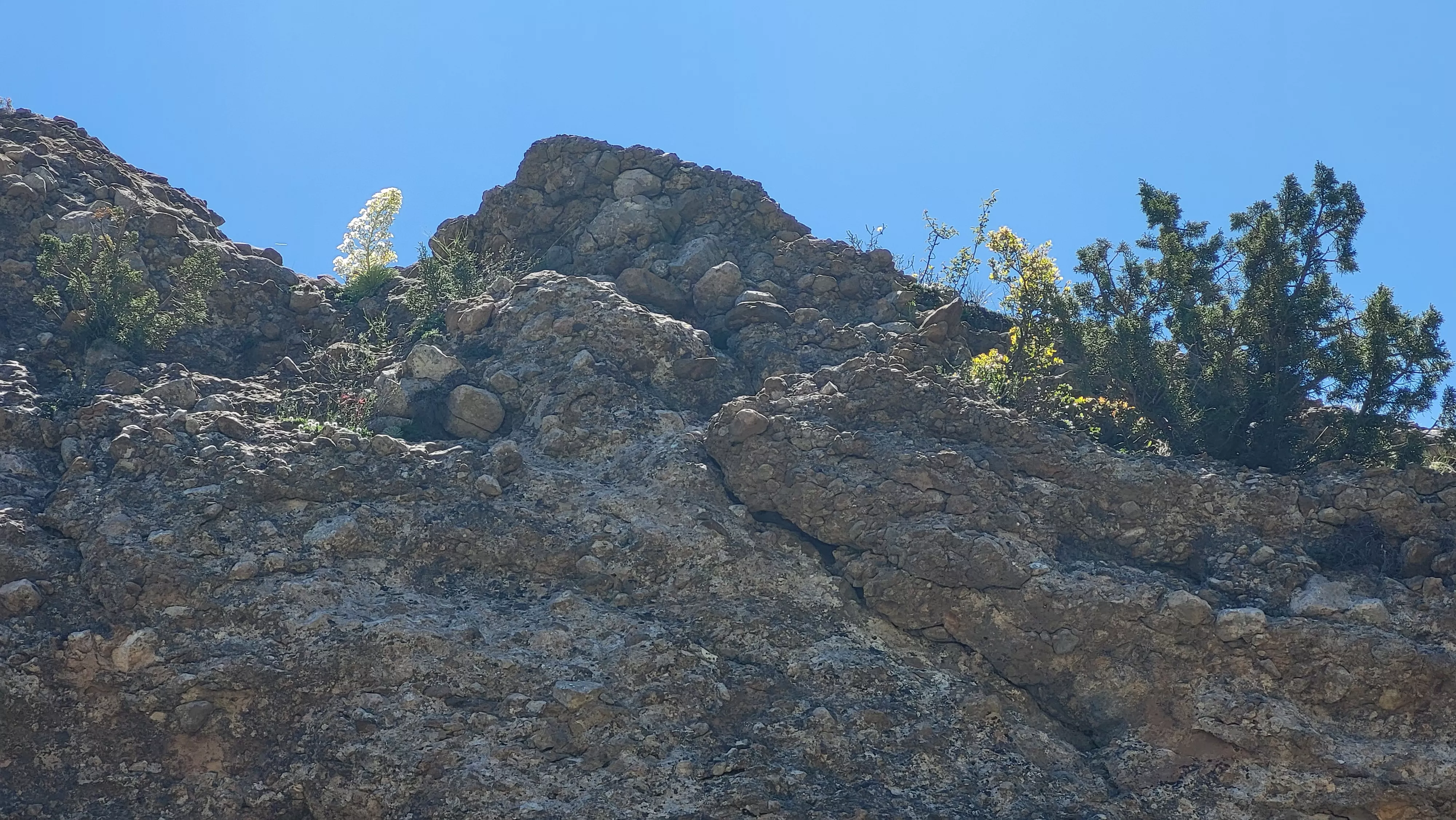 Caminico Medicinal de Agüero con Manuel Roncero y Carlos Molina