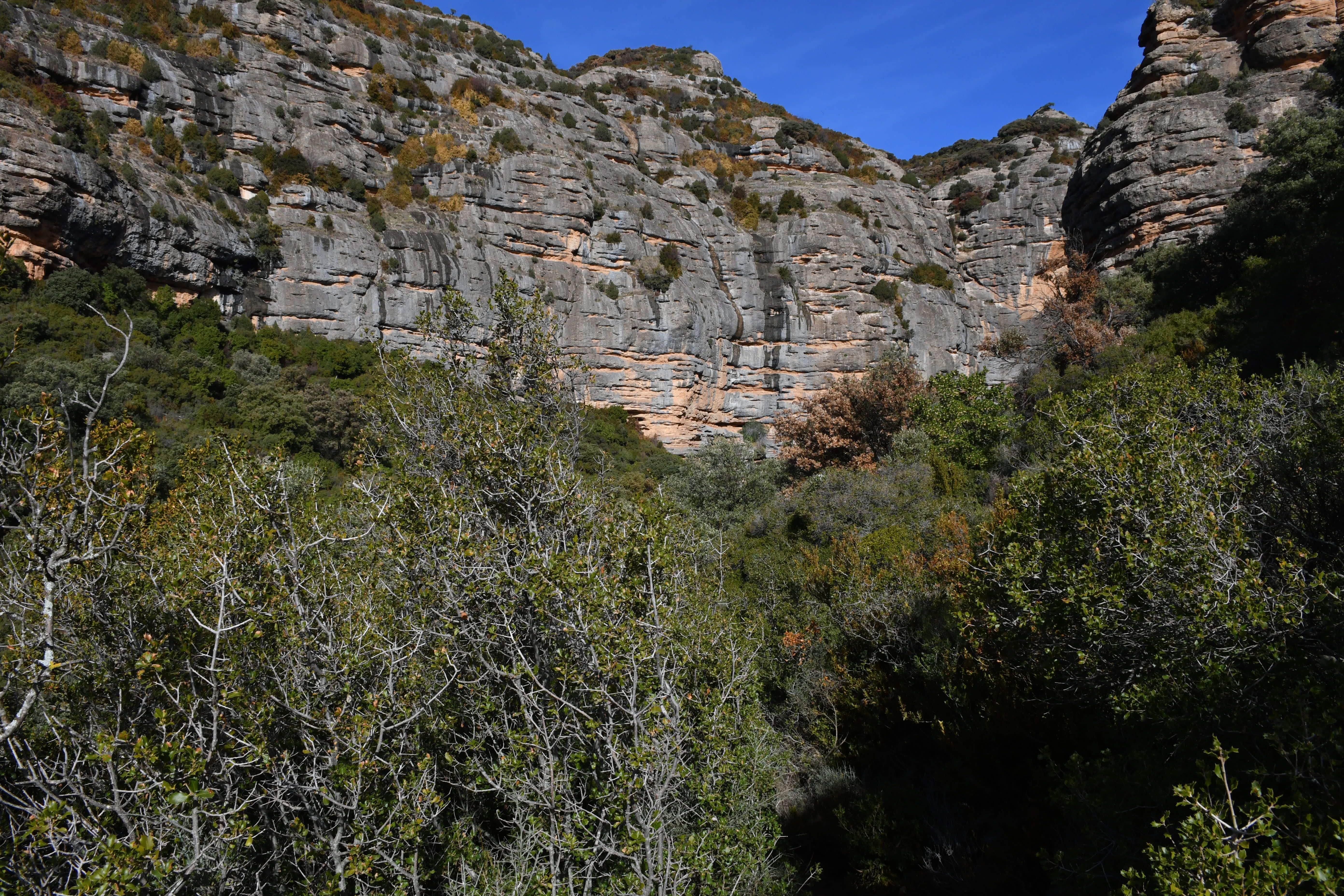 Imágenes del belén de Peña Guara 