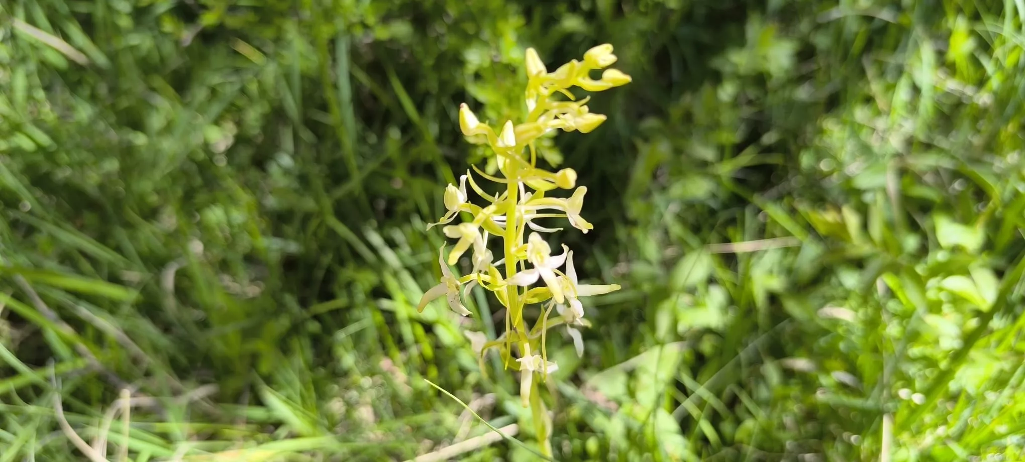 Excursión de  Deporte y Salud+55 por ermitas del Serrablo. Foto Joaquín Santafé