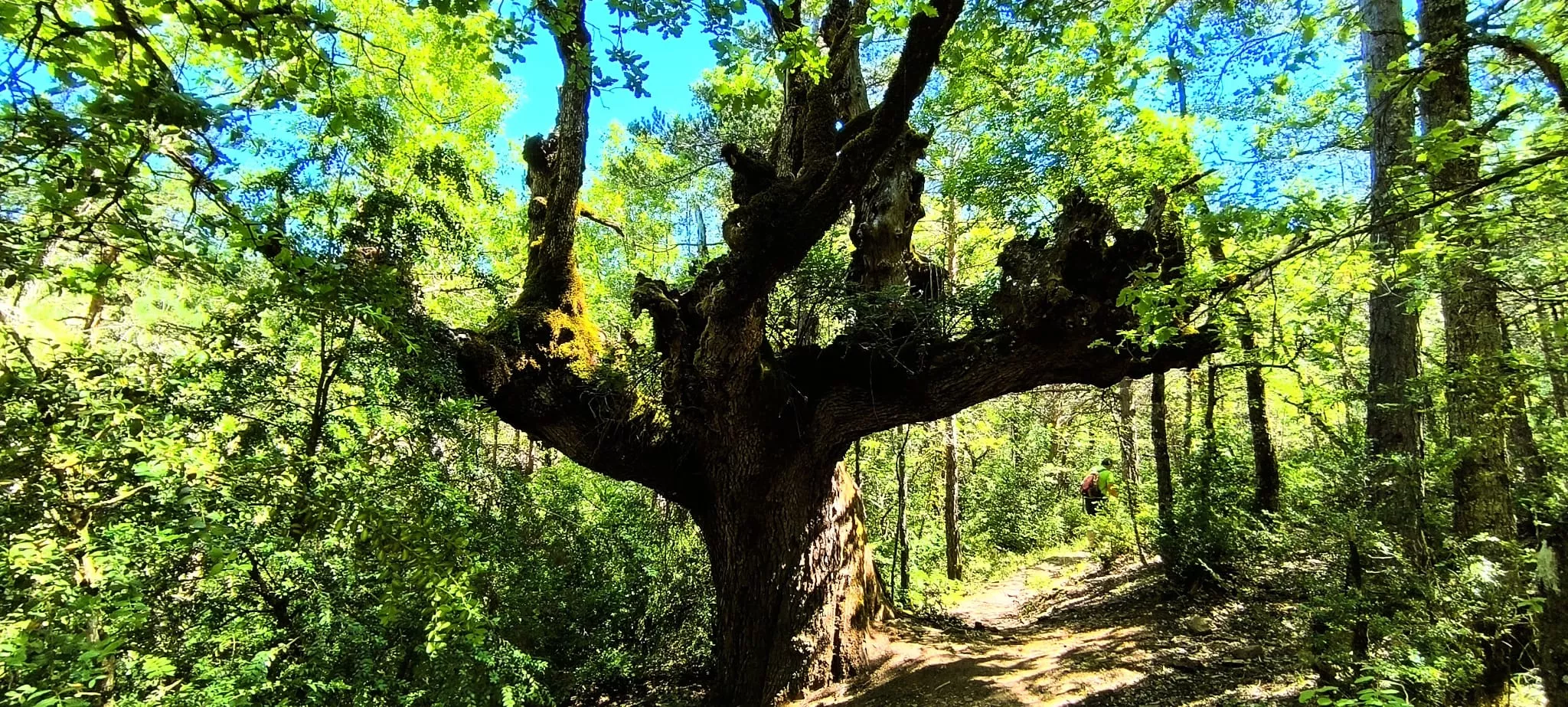 Excursión de  Deporte y Salud+55 por ermitas del Serrablo. Foto Joaquín Santafé