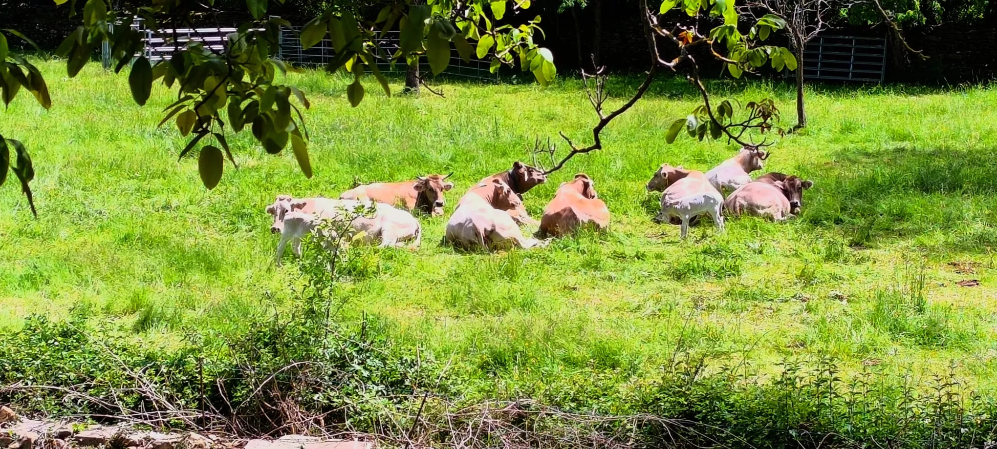 Excursión de  Deporte y Salud+55 por ermitas del Serrablo. Foto Joaquín Santafé