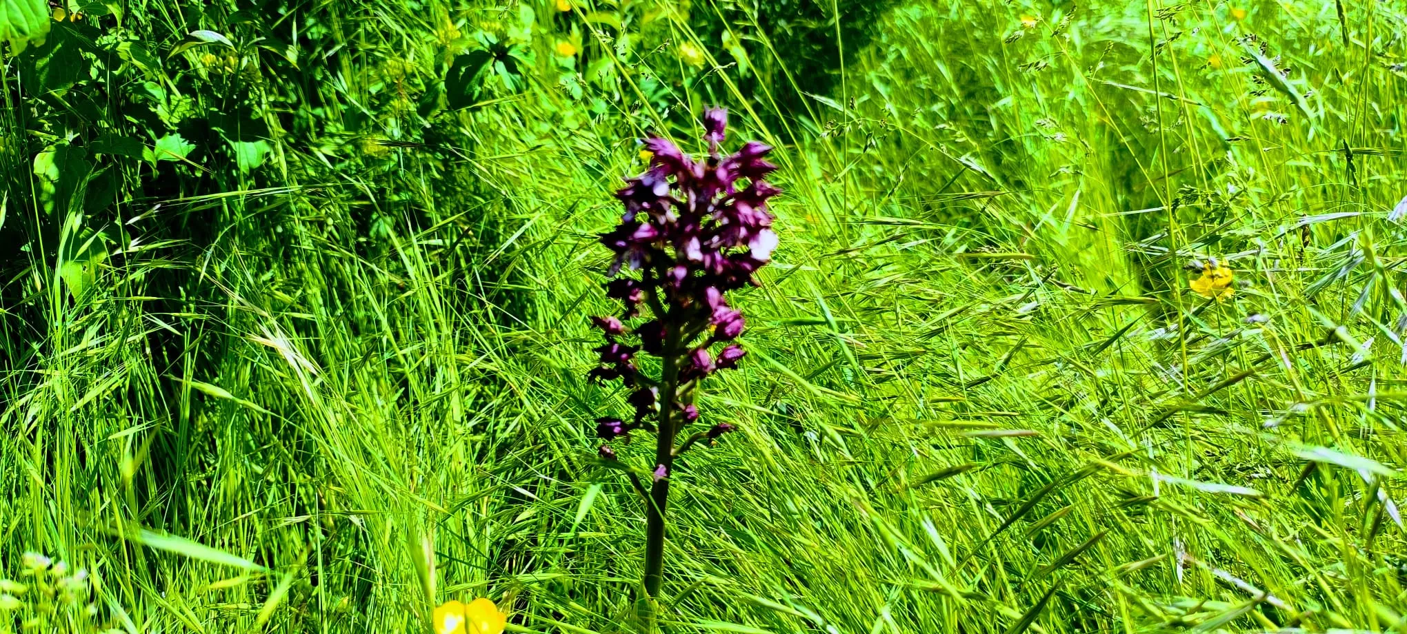 Excursión de  Deporte y Salud+55 por ermitas del Serrablo. Foto Joaquín Santafé