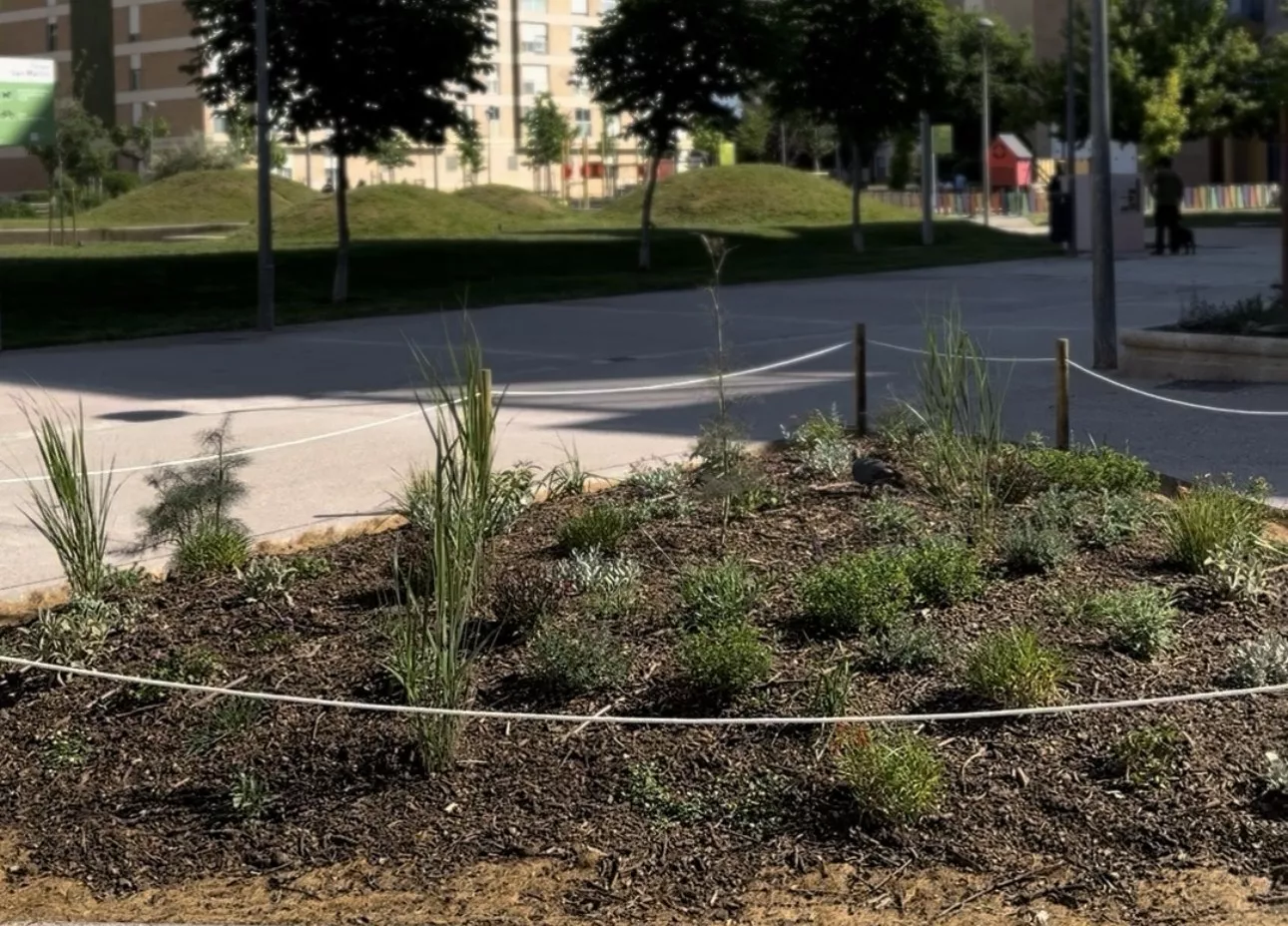 Nuevos espacios del Parque San Martín de Huesca tras la quinta fase de obras.