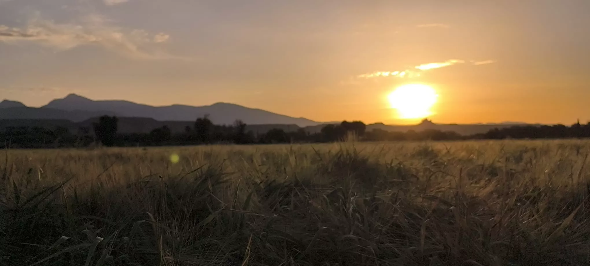 Carrera ciclista del Grial. Foto Joaquín Santafé