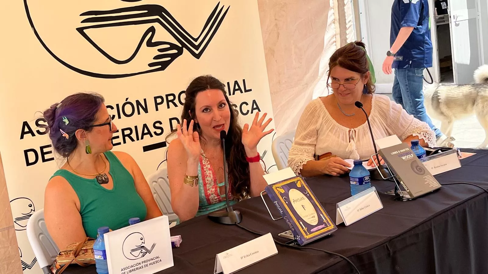Jornada de sábado en la Feria del Libro de Huesca. Foto Mercedes Manterola