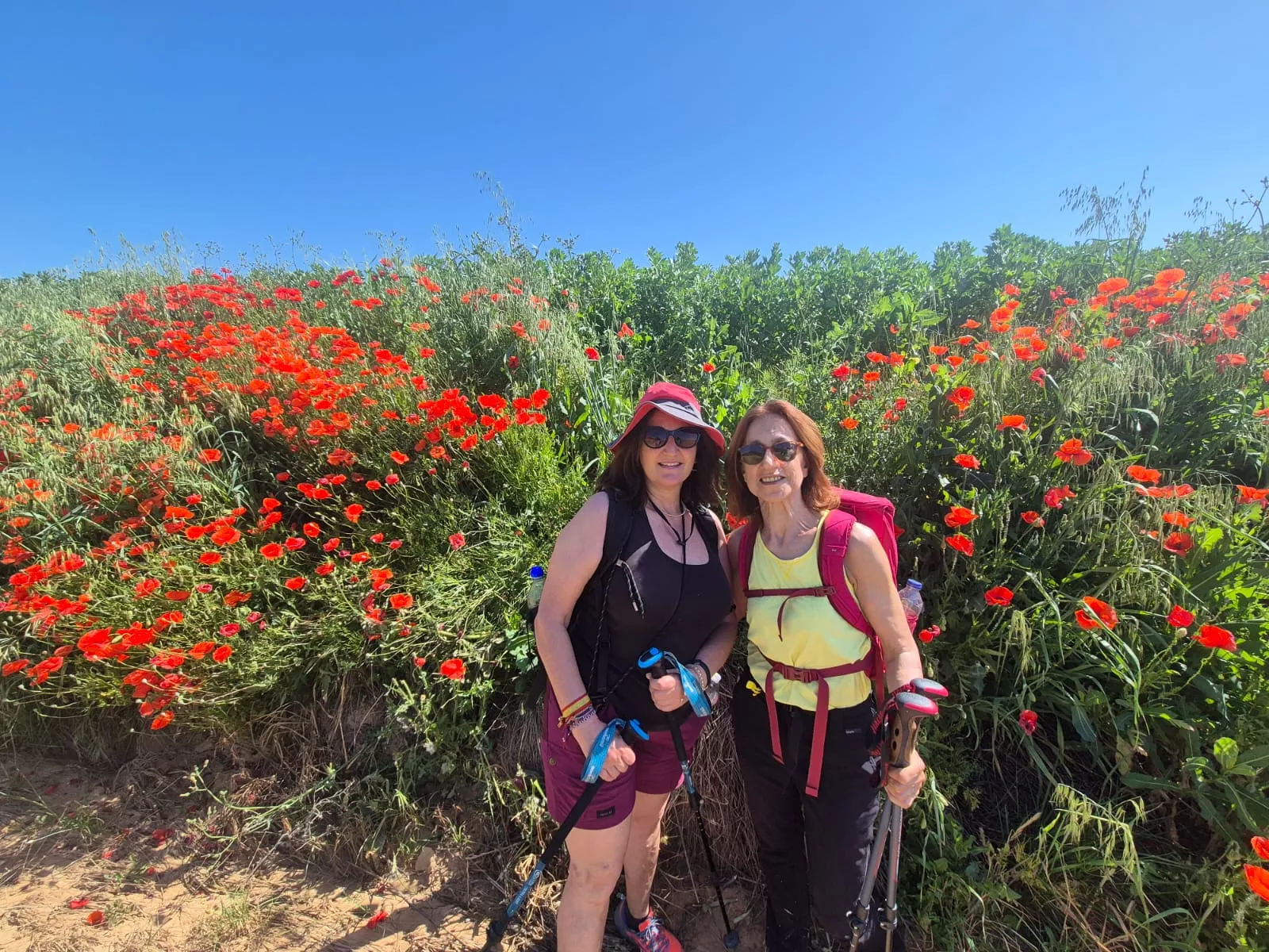 Marcha La Sotonera Pueblo a Pueblo de Plasencia del Monte a Bolea. Foto Juanlu Herrero