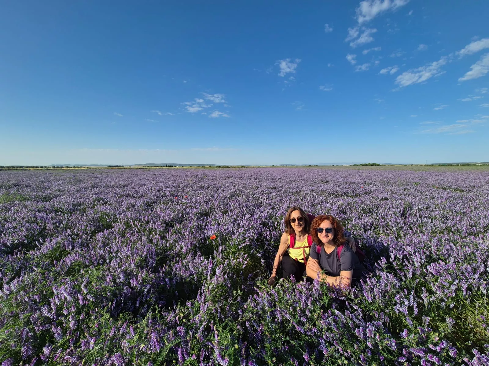 Marcha La Sotonera Pueblo a Pueblo de Plasencia del Monte a Bolea. Foto Juanlu Herrero