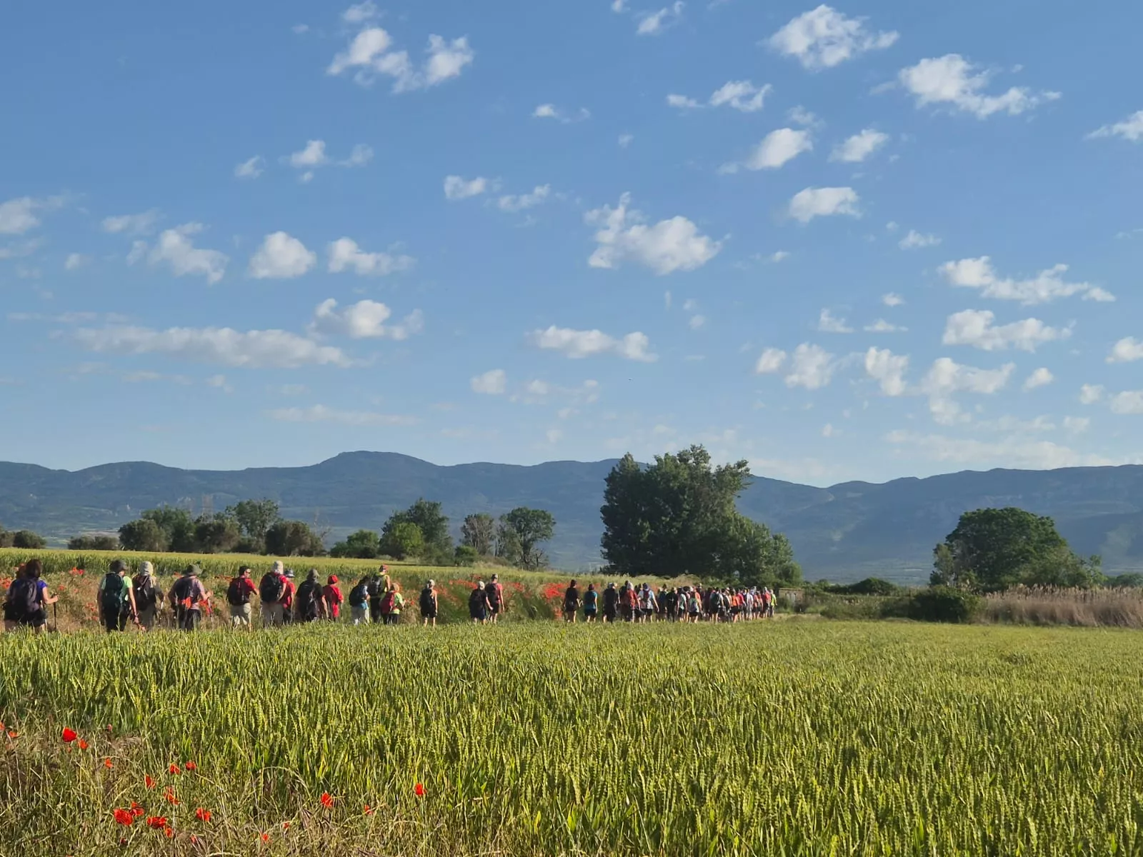 Marcha La Sotonera Pueblo a Pueblo de Plasencia del Monte a Bolea. Foto Juanlu Herrero