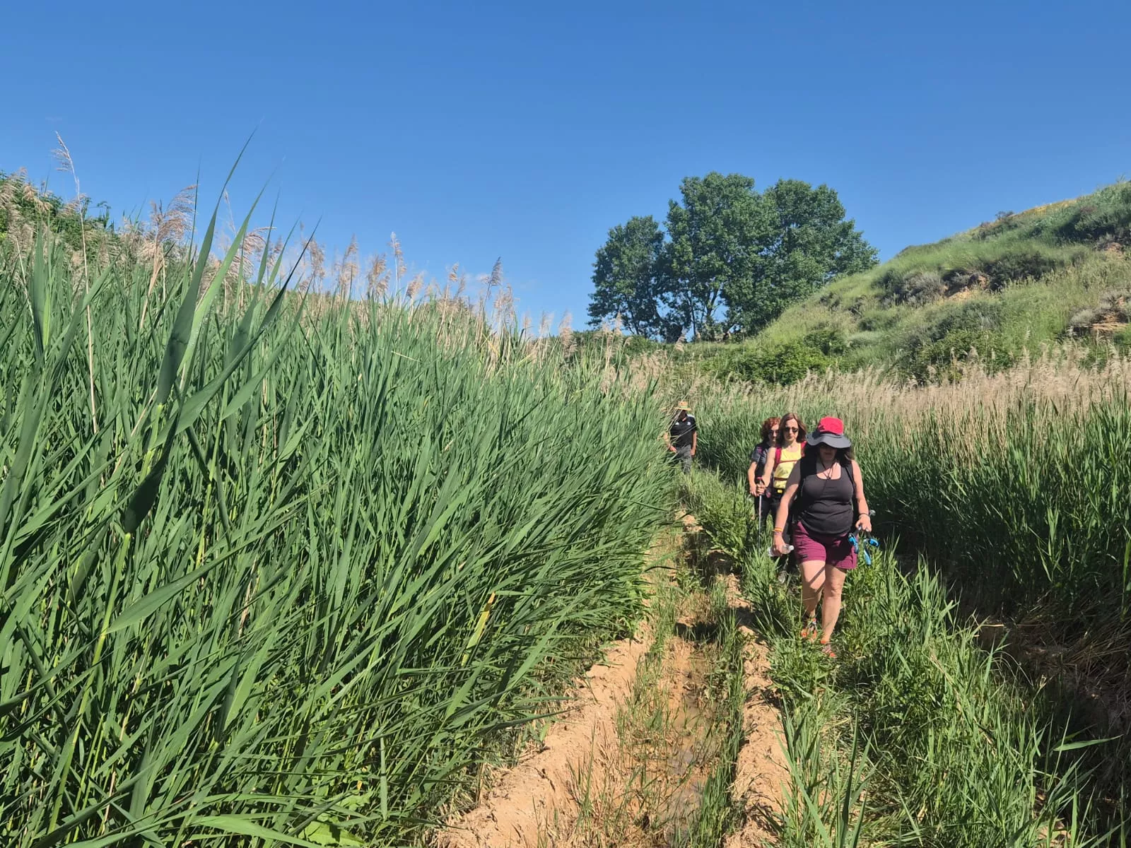 Marcha La Sotonera Pueblo a Pueblo de Plasencia del Monte a Bolea. Foto Juanlu Herrero