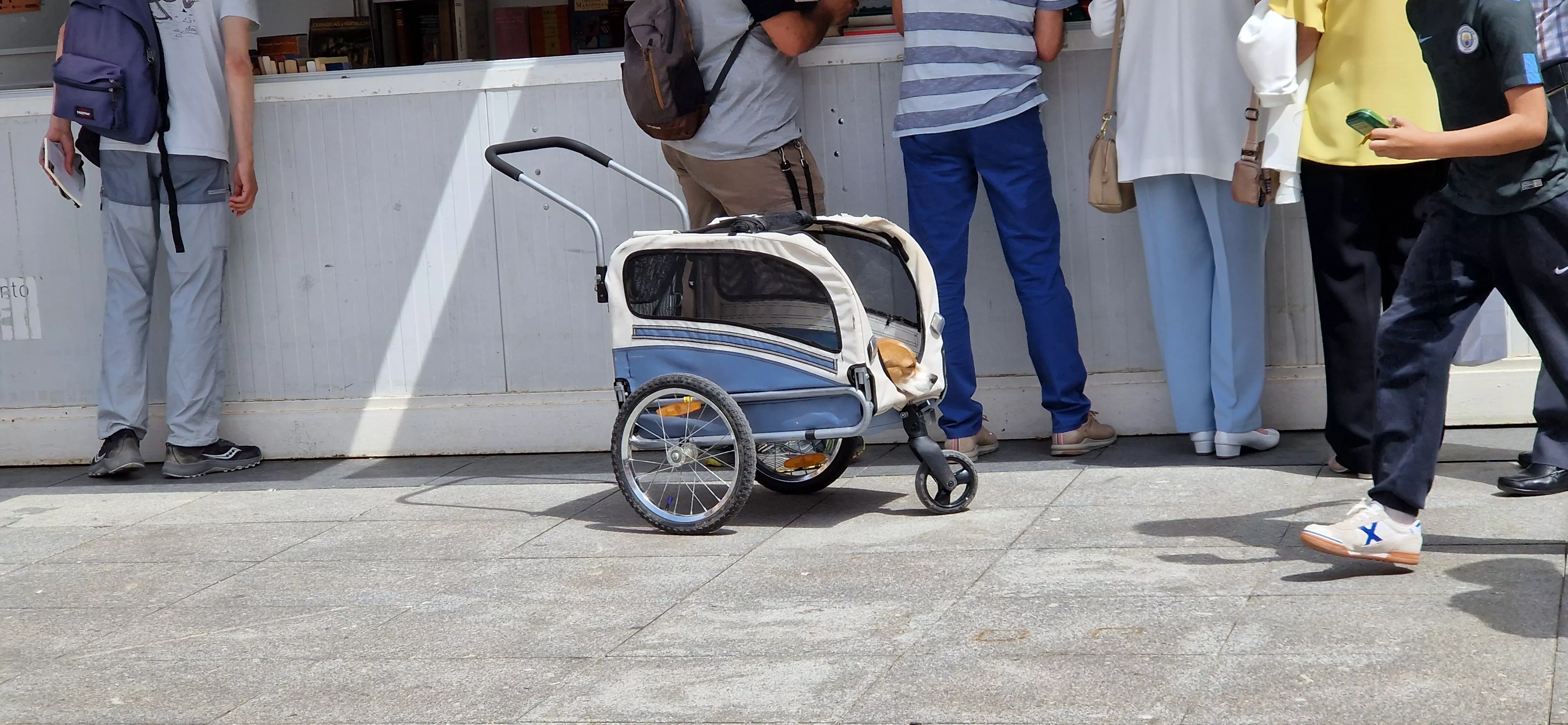 41 Feria del Libro de Huesca: domingo 1 de junio