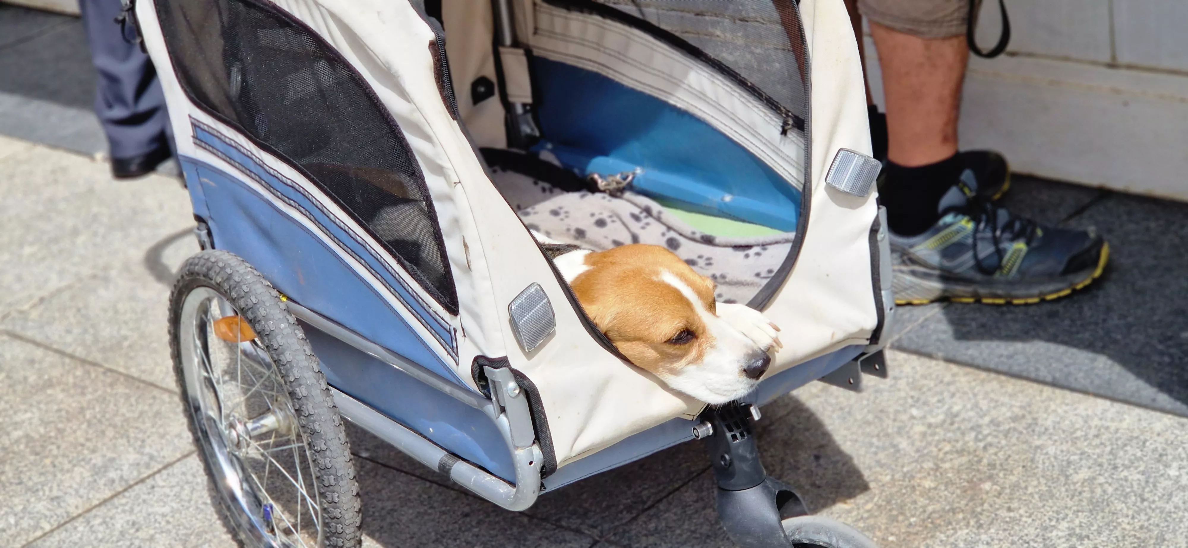 41 Feria del Libro de Huesca: domingo 1 de junio