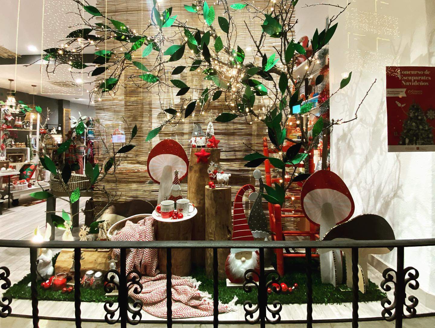 Escaparate de Lesley