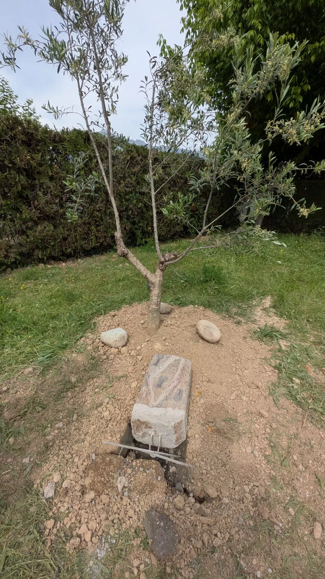 Vandalizado el monolito colocado en Aínsa en apoyo al pueblo palestino. Foto Sobrarbe por Palestina Vandalizado el monolito colocado en Aínsa en apoyo al pueblo palestino. Foto Sobrarbe por Palestina