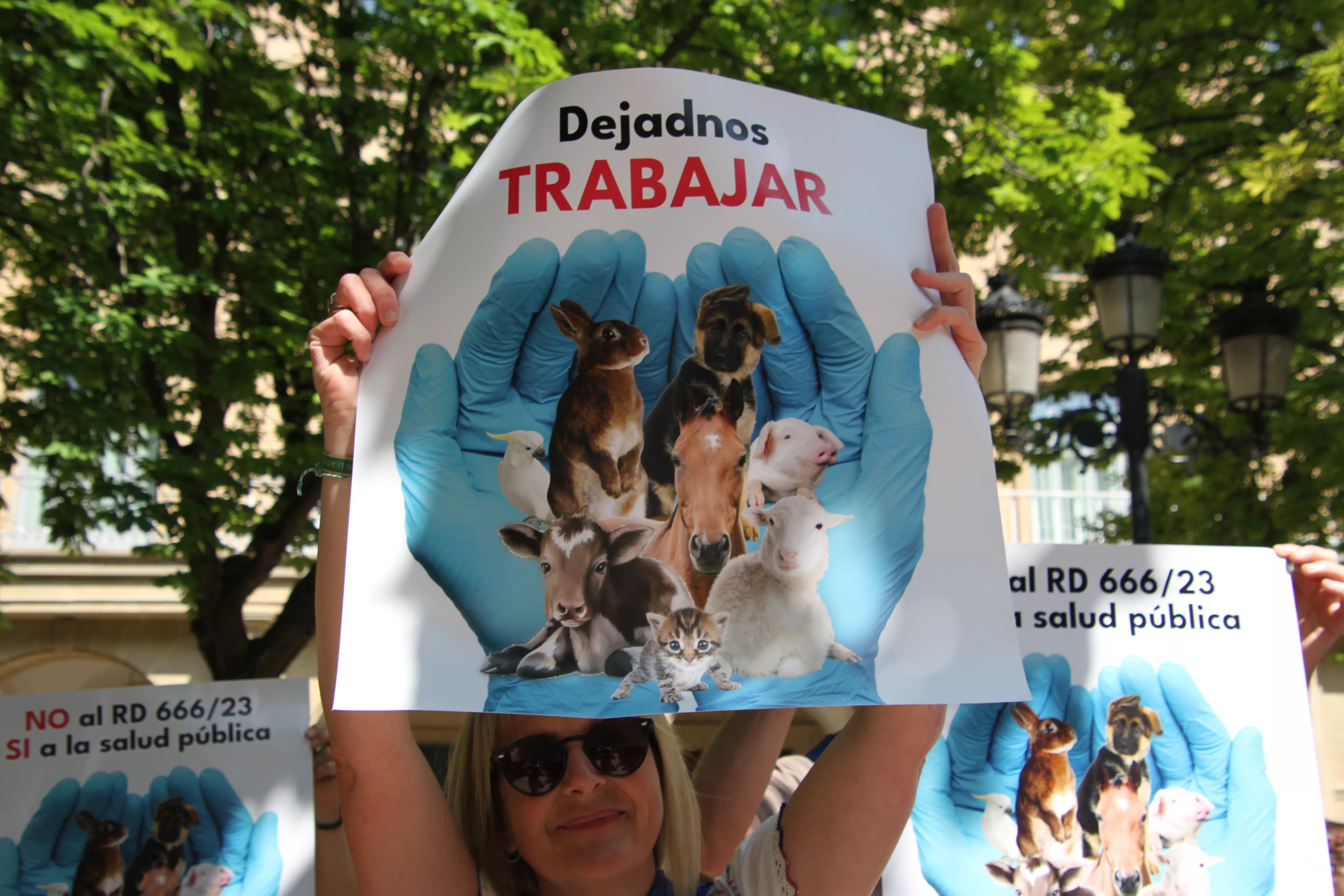 Manifestación de los veterinarios en Huesca. Foto Carlos Neofato