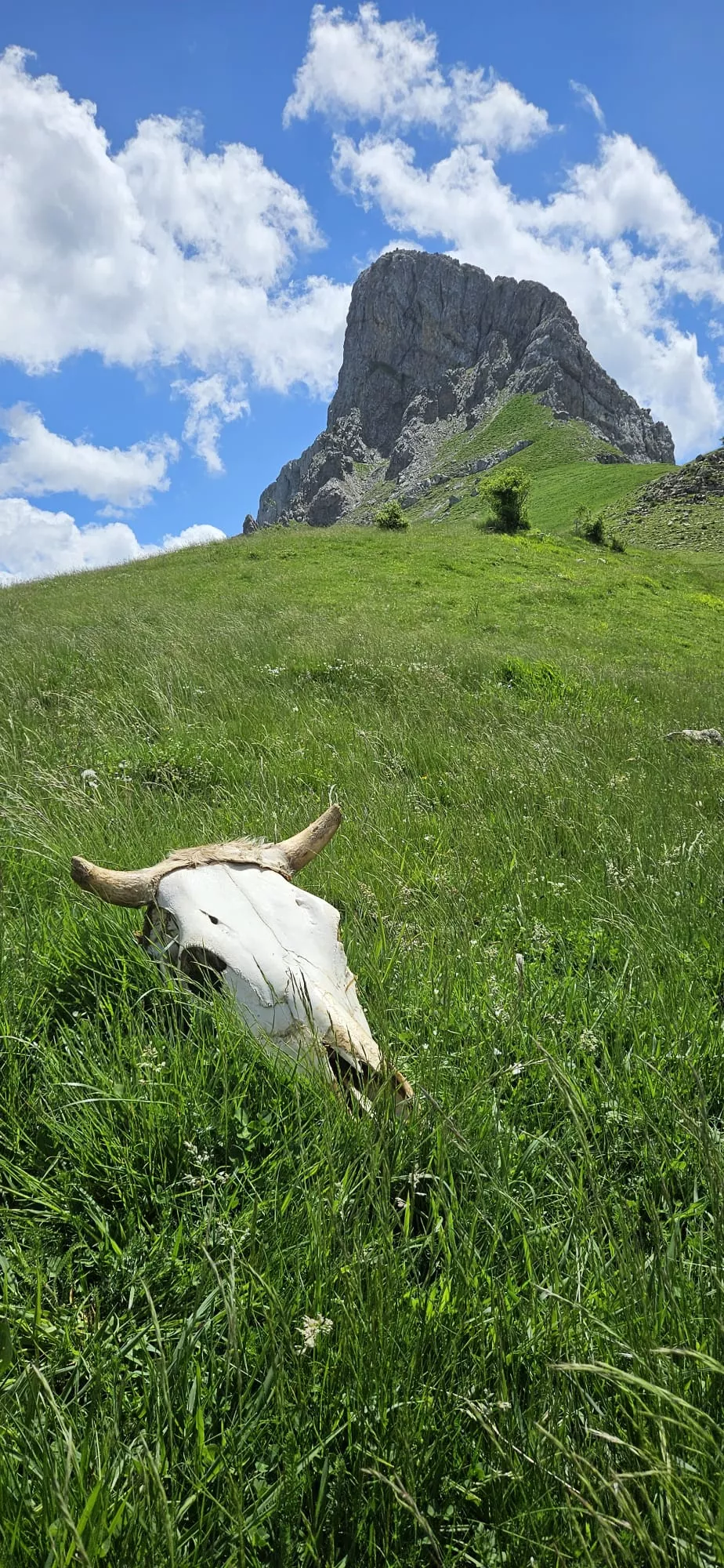 Travesía Pirenaica de Tella a Bestué de los Javieres