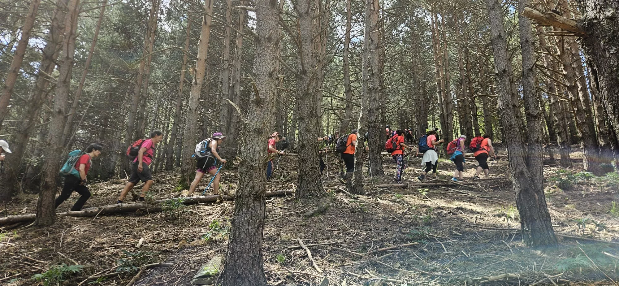 Travesía Pirenaica de Tella a Bestué de los Javieres