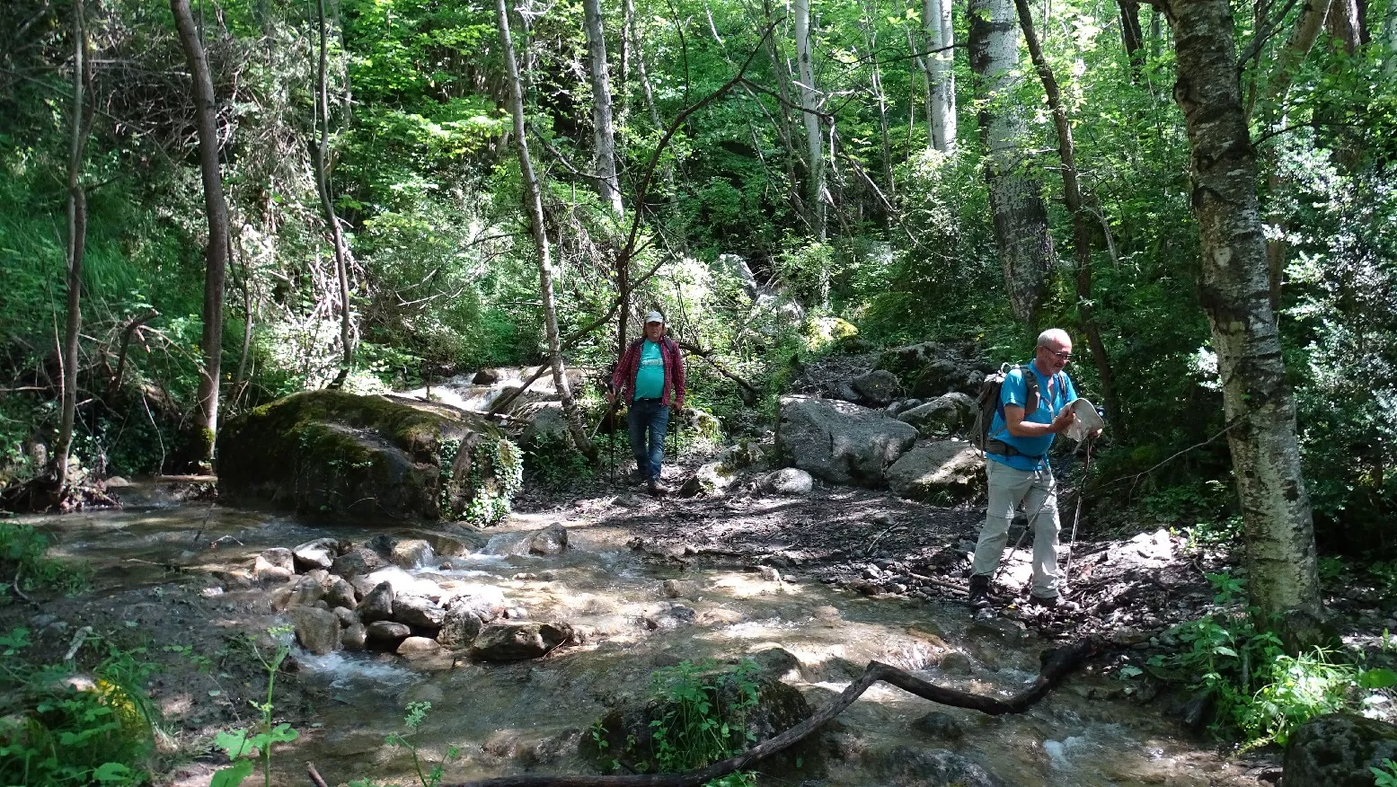 Barranco de Ramastué. Foto Alfredo Zazo