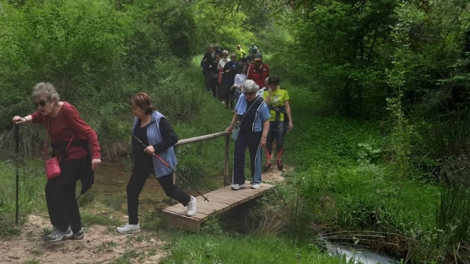 Imagen de WhatsApp 2025 06 11 a las 18.35.03 74f000d7 Imagen de WhatsApp 2025 06 11 a las 18.35.03 74f000d7