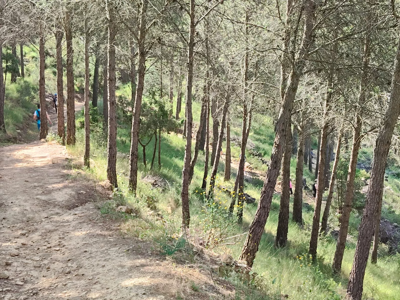 Inauguración del Sendero del Voluntariado de Ayerbe.