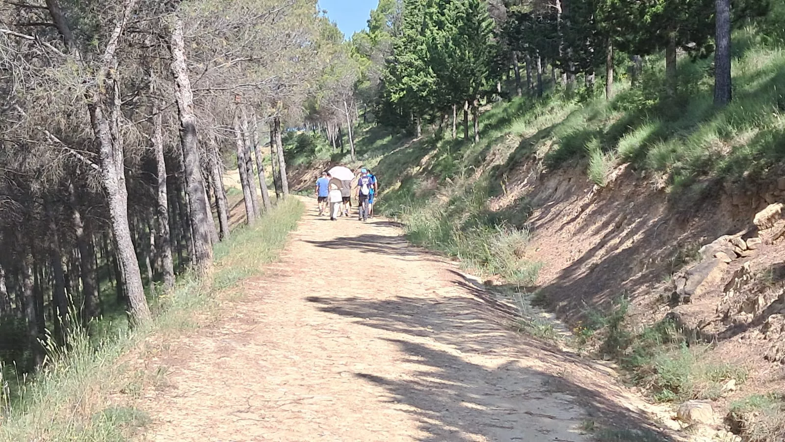 Inauguración del Sendero del Voluntariado de Ayerbe.