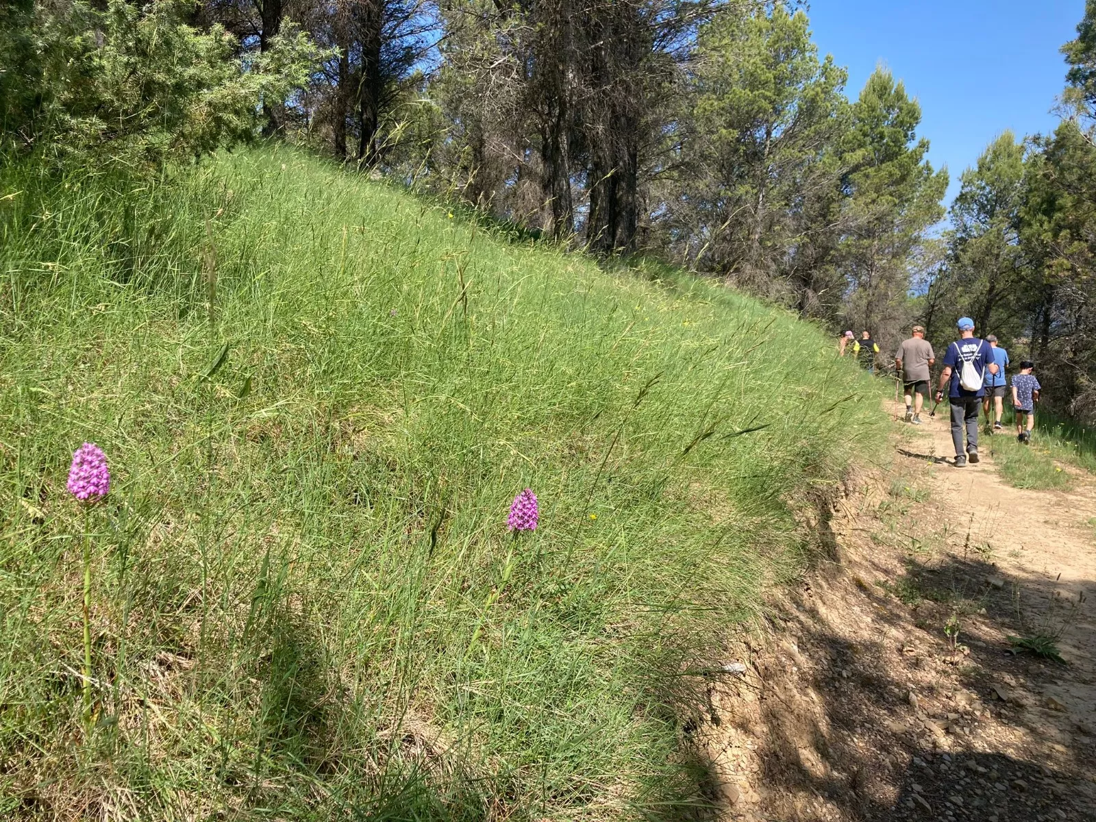 Inauguración del Sendero del Voluntariado de Ayerbe.