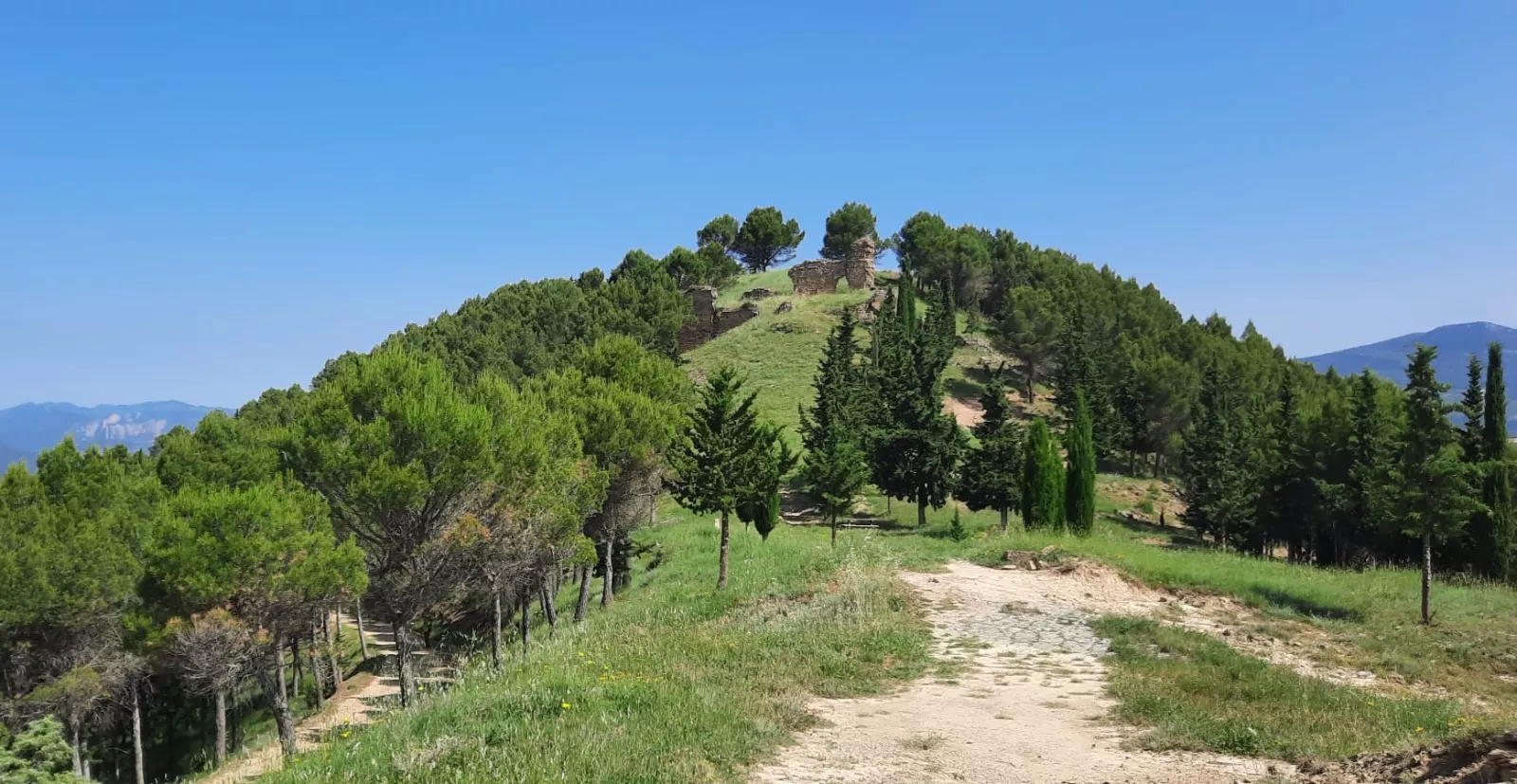 Inauguración del Sendero del Voluntariado de Ayerbe.