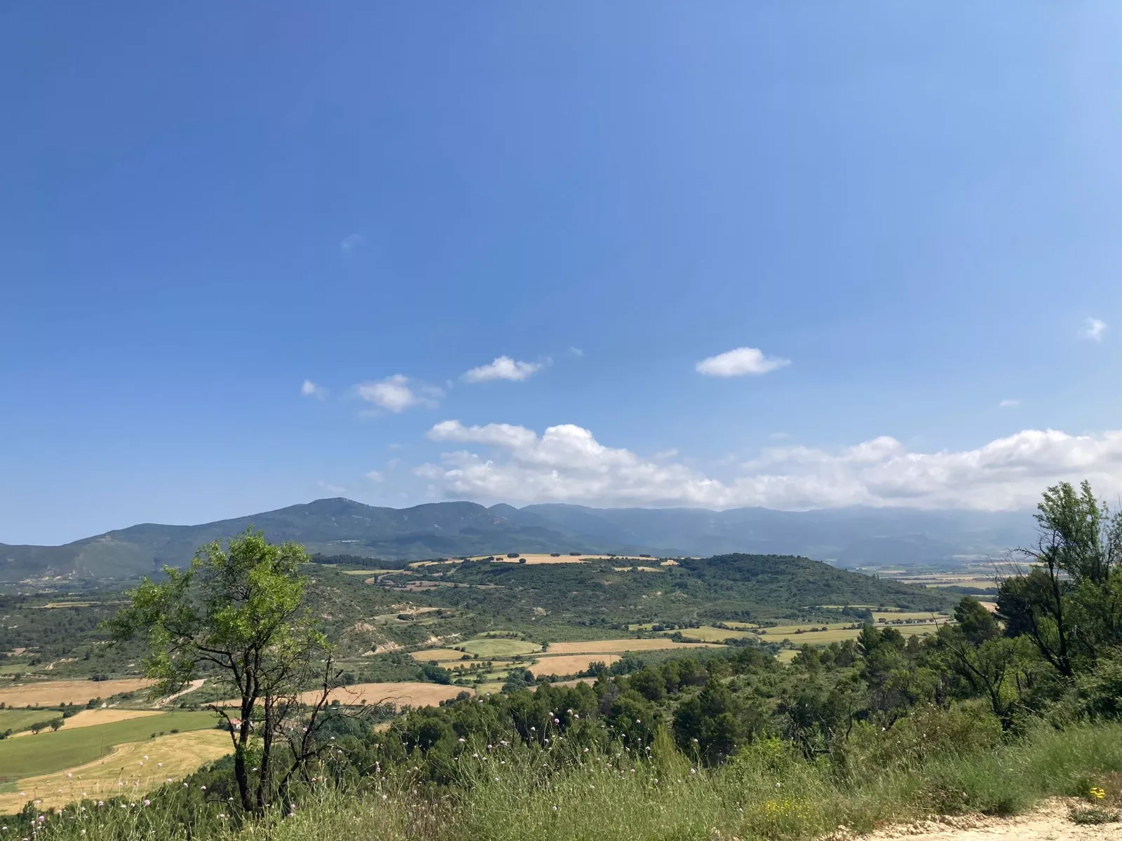 Inauguración del Sendero del Voluntariado de Ayerbe.