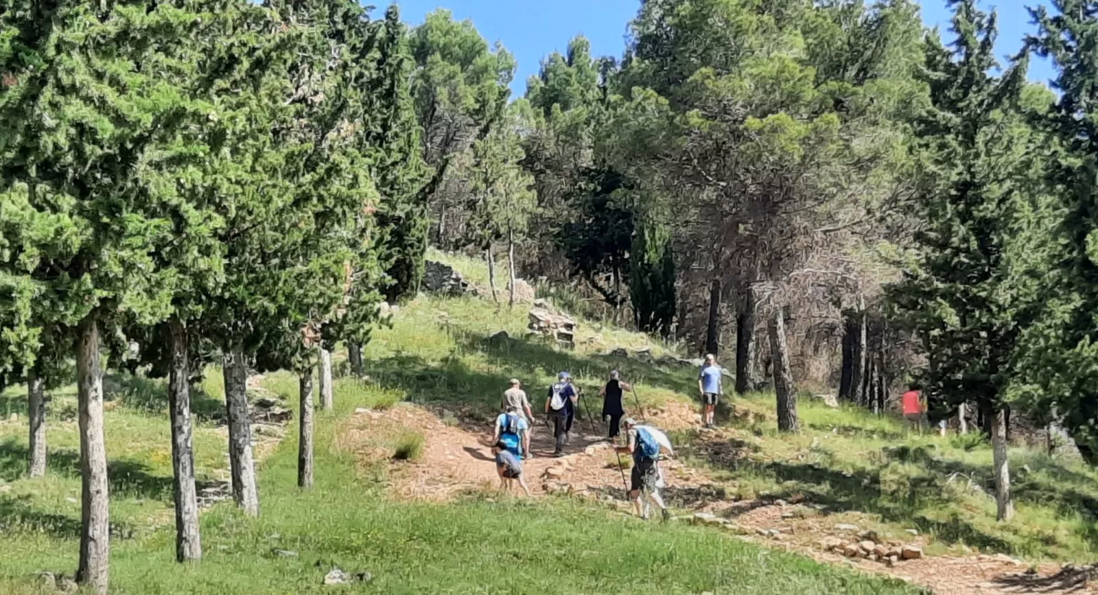 Inauguración del Sendero del Voluntariado de Ayerbe.