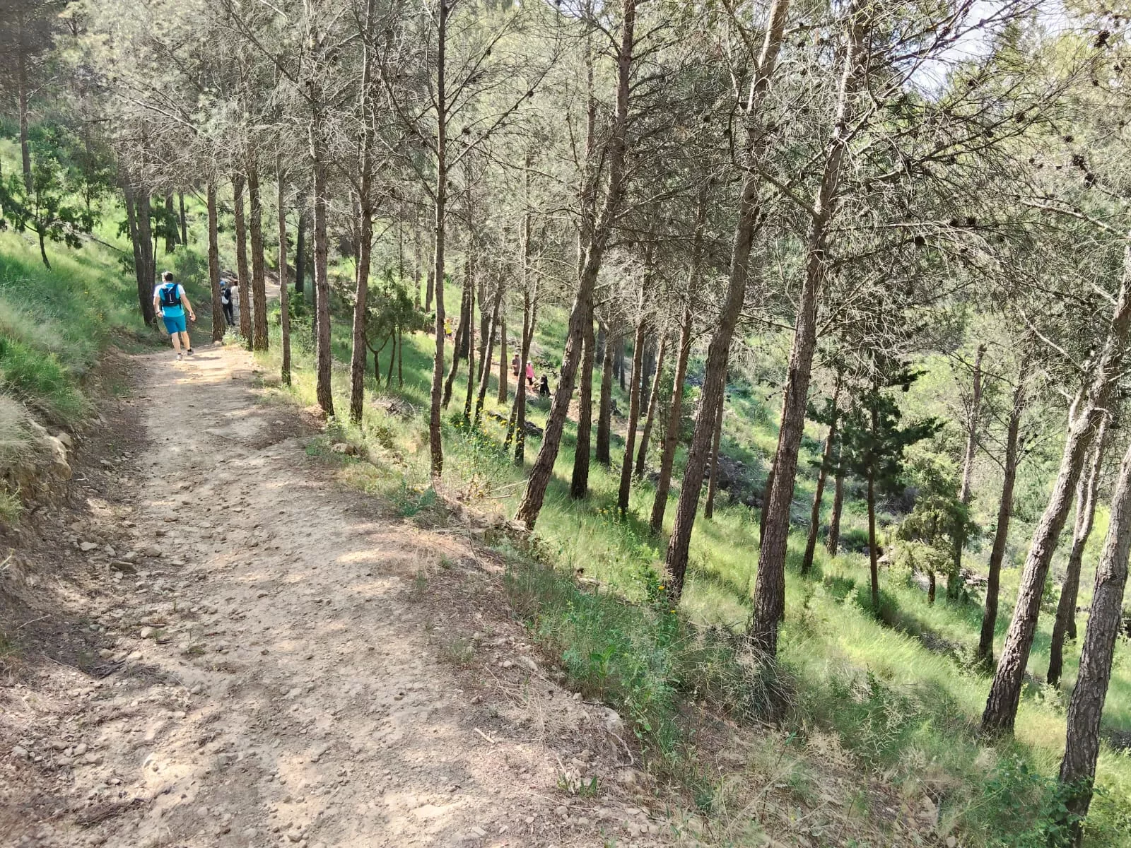 Inauguración del Sendero del Voluntariado de Ayerbe.