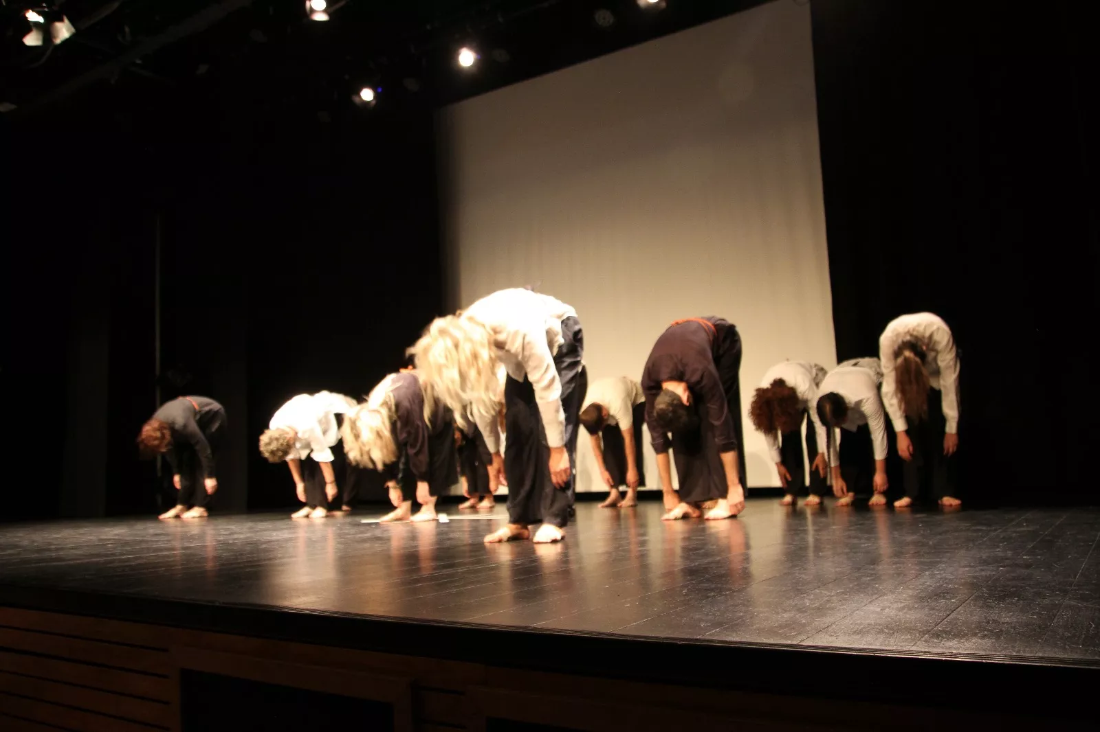 Grupo de danza de Nuria Bolea en la Muestra Joven. Foto Carlos Neofato