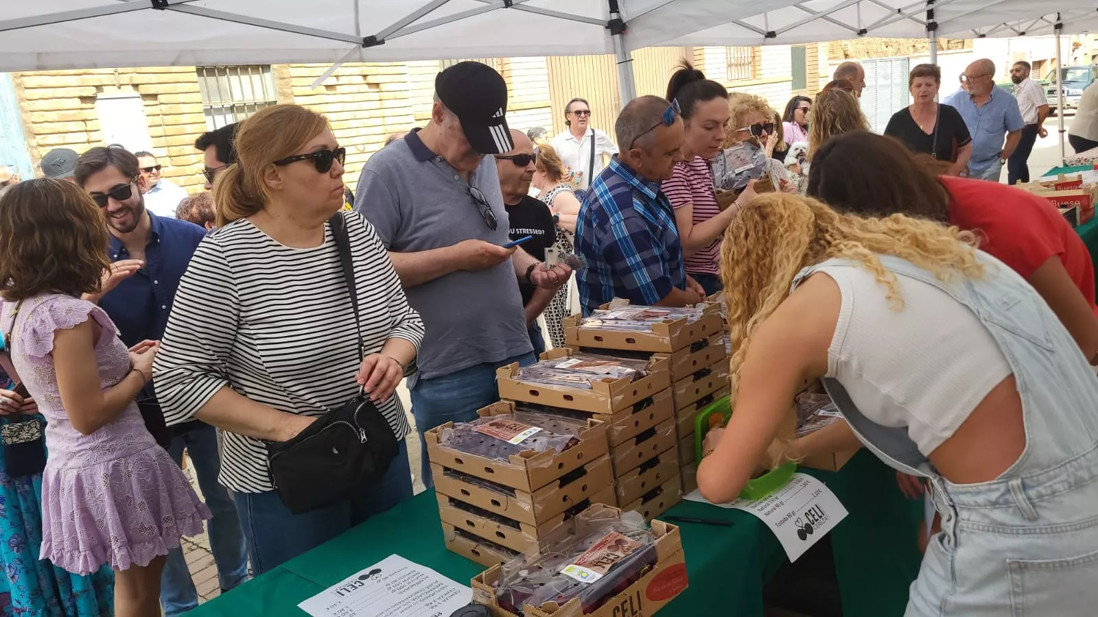 24 Feria de la Cereza de Bolea