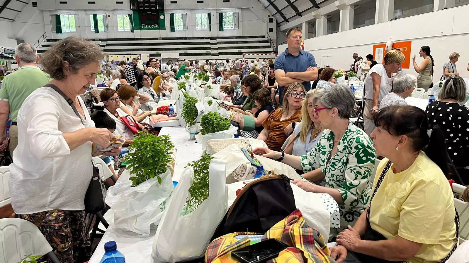 Encuentro de Bolillos Osca en el pabellón de deportes del parque. Foto Mercedes Manterola